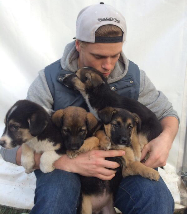 Een update van Gus Kenworthy en de Sochi Pups